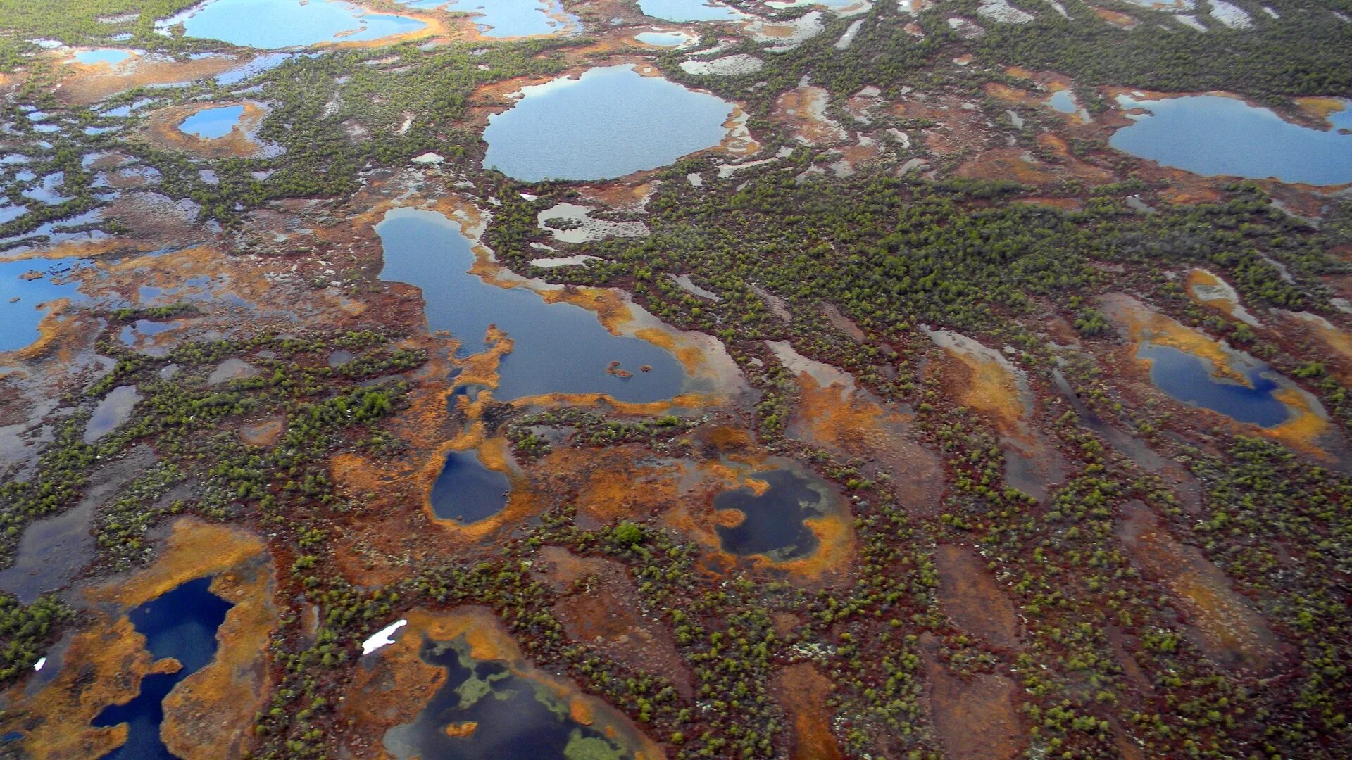 Васюганское болото. Большое Васюганское болото. Васюганские болота растительность. Космоснимки Васюганского болото.