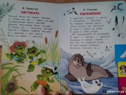 Лягушата читать