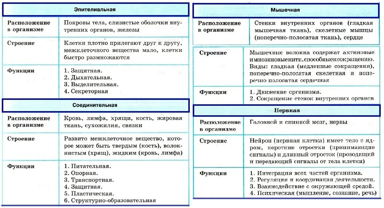 Функции каждой ткани человека. Таблицы типы тканей соединительная мышечная нервная эпителиальная. типы соединительной ткани человека таблица. таблица строение тканей эпителиальная соединительная. виды тканей организма человека их характеристика.