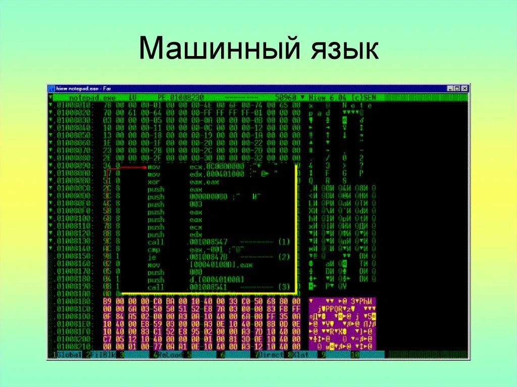 Первая программа программиста