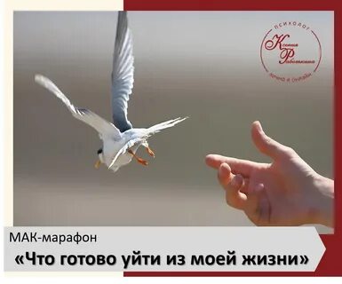 Отпусти отпускаю история