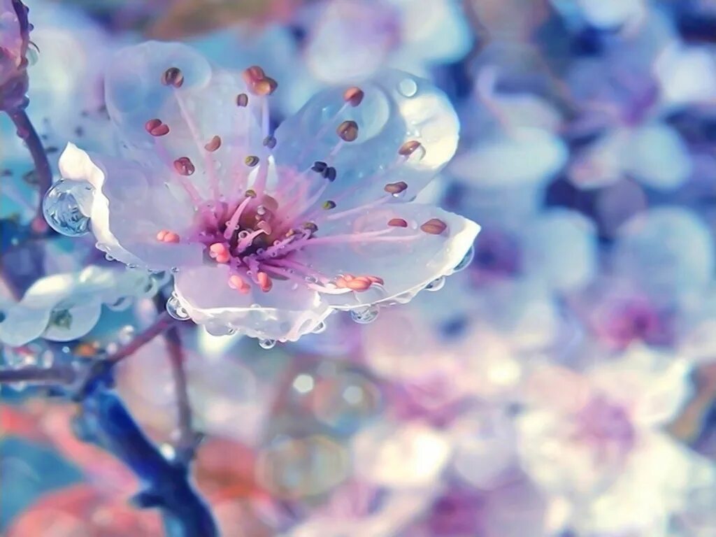 Весенние открытки. С весной приходит вдохновение. Весенние краски. С весной приходит вдохновение. С весной приходит вдохновение.