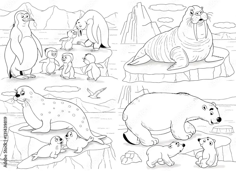 Животные севера раскраски для детей распечатать Free Printable Walrus Coloring Pages For Kids Animal coloring pages, Arctic anim