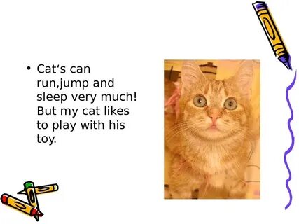 I can cat