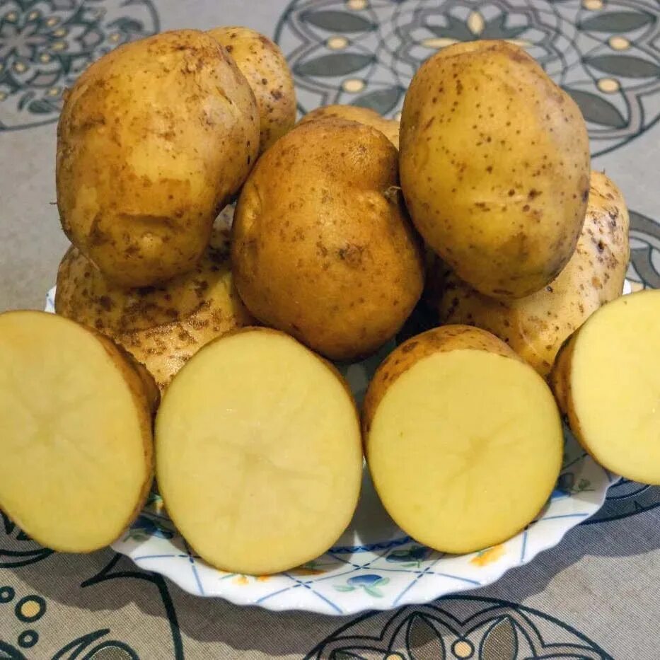 Лучшие сорта картофеля для пюре. Адретта элита картофель. семенной картофель адретта. сорт картофеля адретта. желтая рассыпчатая картошка.