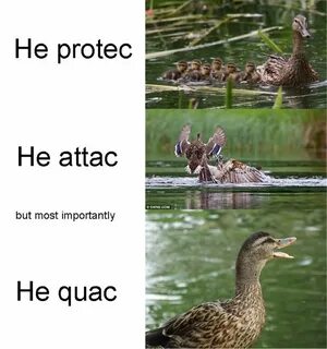But most important