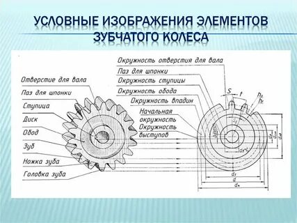 Модуль прямозубой шестерни