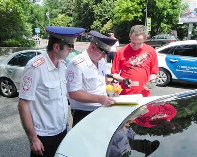 Гаи адлер