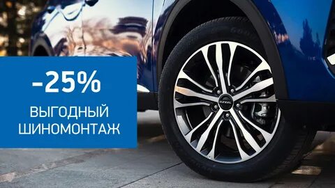 Шины 2024 года