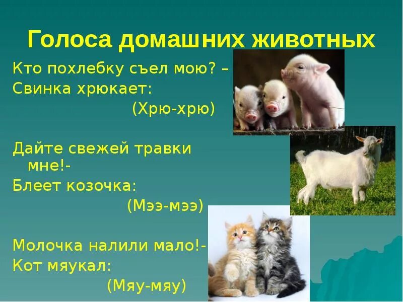 Проект про 1 животного. Проект про домашних животных. Презентация на тему домашние животные. Доклад про домашних животных. Презентация про домашних животных.