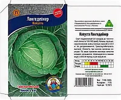 Капуста лангедейкер описание. Капуста лангедейкер. семена капуста лангедейкер. капуста лангедейкер описание сорта. капуста белокочанная лангедейкер дауэр.