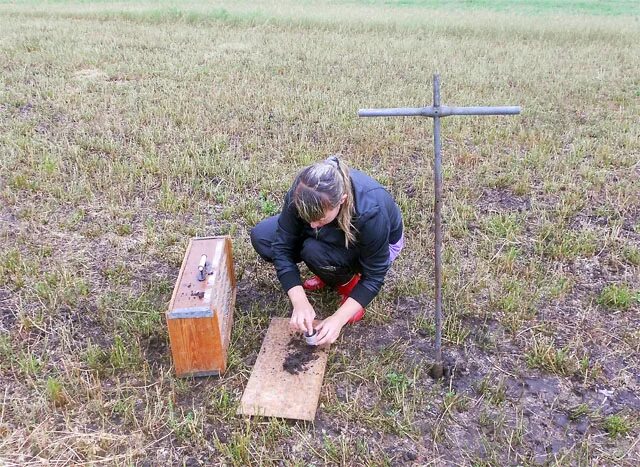 Полевые и лабораторные исследования. Поле проб. Основы электротехники плакаты. Поле проб. Поле проб.