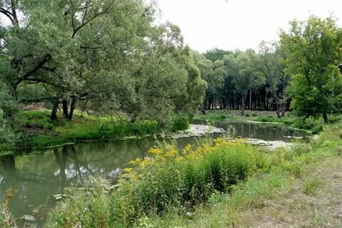 Баташевский сад фото
