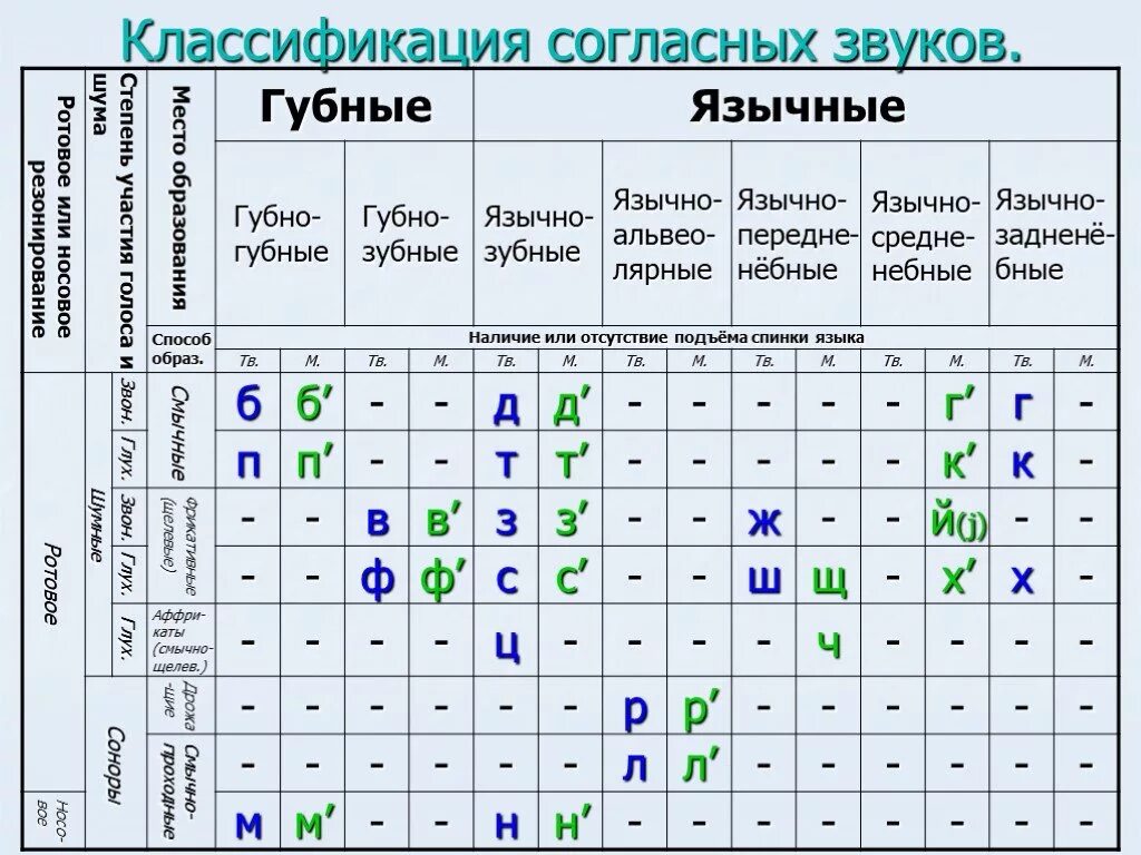 Звонкие смычные. Классификация согласных звуков русского языка. Классификация согласных звуков русского языка таблица. Классификация согласных в русском языке таблица. Артикуляционная классификация согласных звуков таблица.