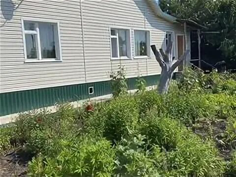 Дом башмаково. Авито башмаково пензенская область.
