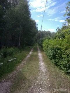 Шарапова охота