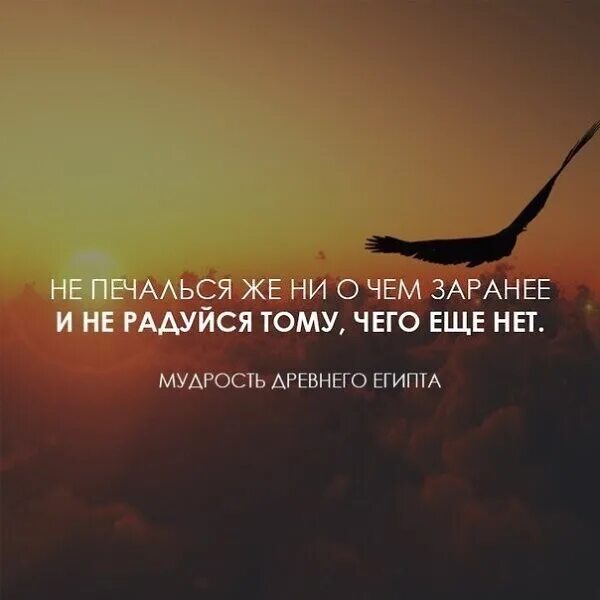 Радуйтесь всегда в господе и еще говорю радуйтесь. Радуйтесь что имена ваши записаны на небесах. Анна чернышова иллюстратор. Радуйтесь всегда радуйтесь. Жизнь прекрасна и удивительна цитаты.