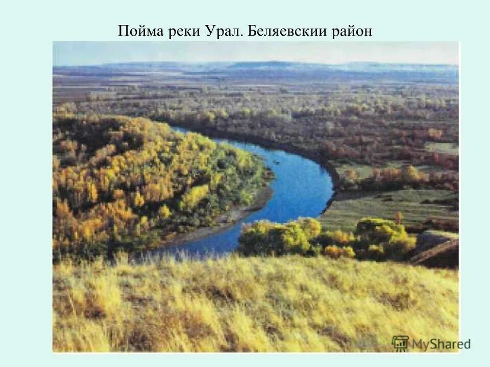 Пойма реки сакмара. Река сакмара оренбургская область. Река блява оренбургская область. Река кураганка кувандык. Пойма реки сакмара.