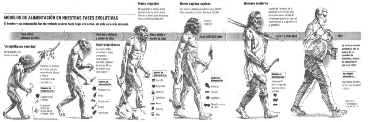 Homo латынь. Homo ergaster характеристика. хомо эргастер характеристики.