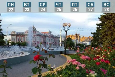 Население тамбова 2024