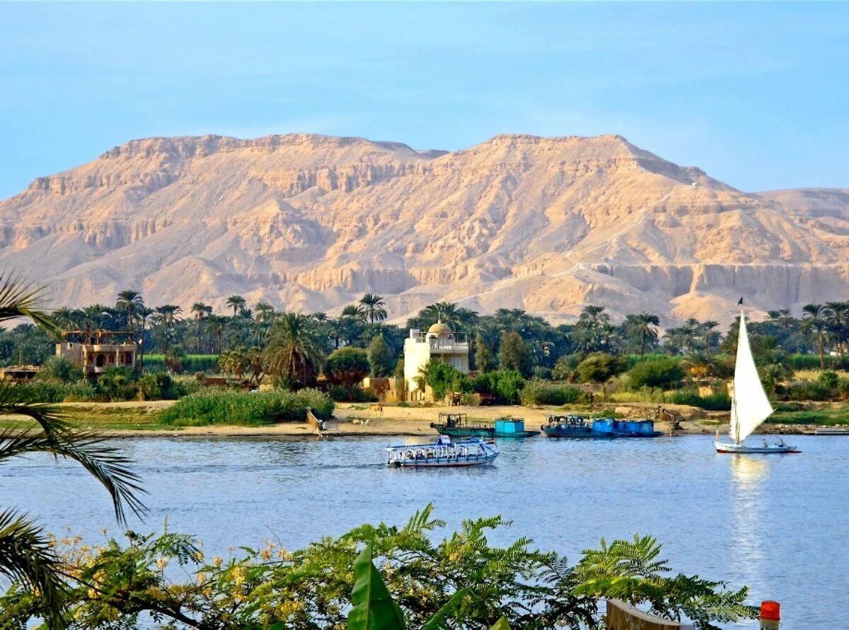 Какая природа египта. Асуан Египет.