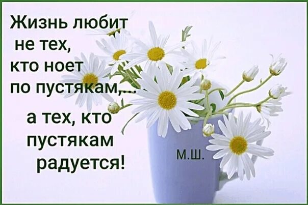 Группа жизнь ок. Жизнь любит не тех кто ноет по пустякам а тех кто по пустякам радуется. жизнь любит не тех кто ноет по пустякам. жизнь любит тех. жизнь любит не тех кто ноет по пустякам а тех.