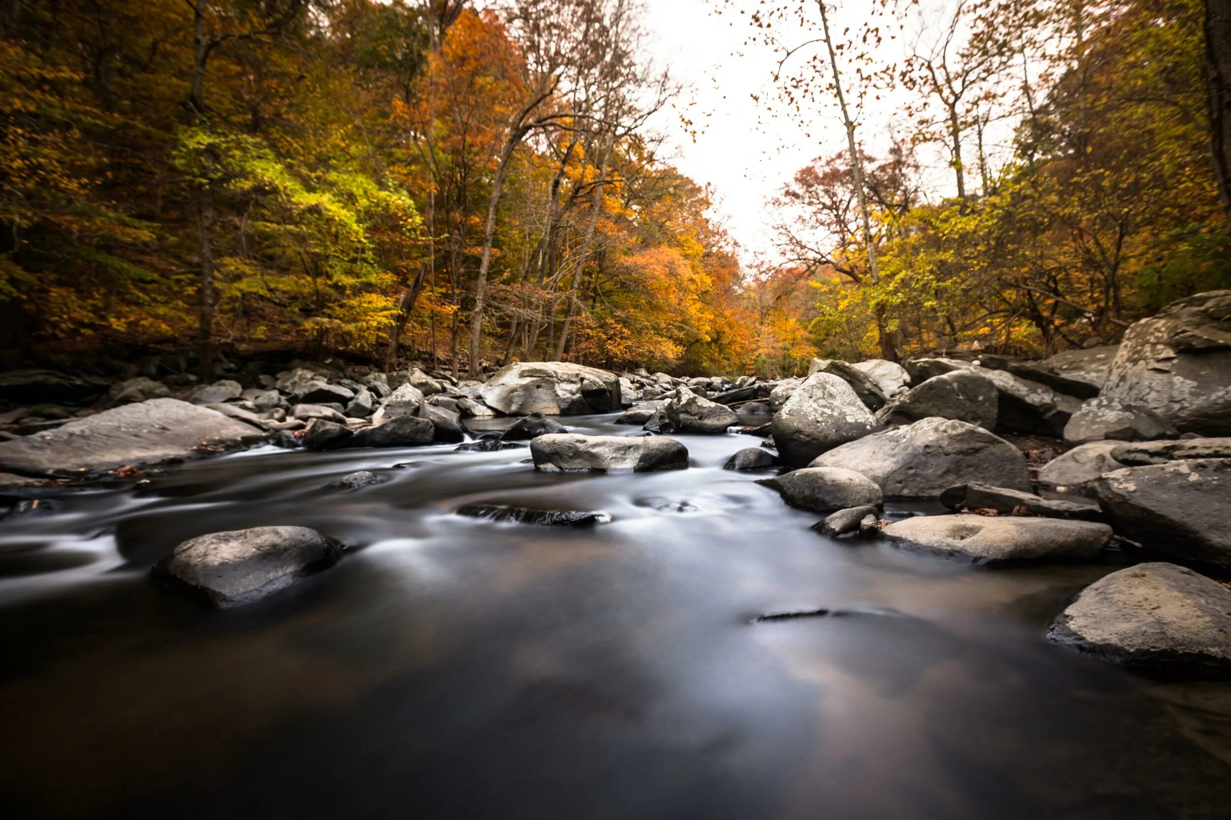 Парк рок крик в вашингтоне фото. Rock creek. Rock creek. Trail park кишинев. Rock creek.