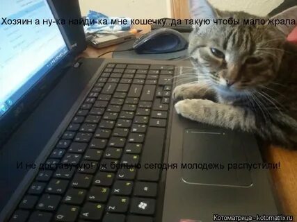 Найду ка