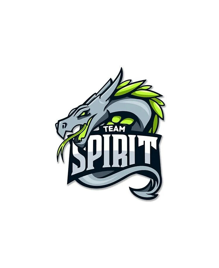 Футболка тим спирит КС. Футболка Team Spirit Dota 2. Team Spirit логотип. Тим спирит дота 2.