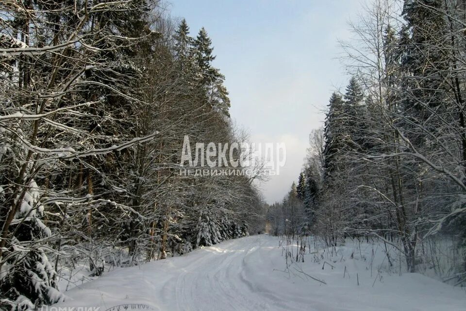 Снежная Карелия отдых по цене от 49 500 ₽