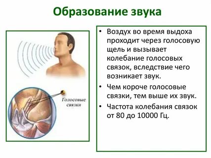 Способ образования звука б