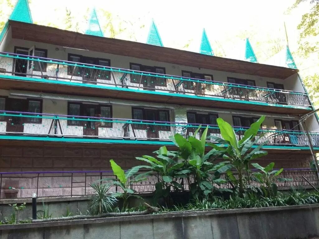 Изумруд южный. Изумруд южный. Экстрма гавриш места. Газон южный изумруд 0,6 гавриш. Пансионат южный туапсе.