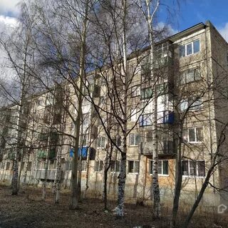 25 корпус