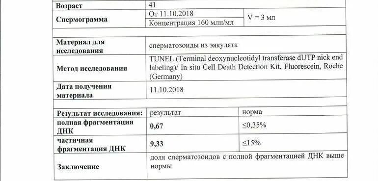 Сдать фрагментацию днк спермограммы. Норма показателей фрагментации днк спермограммы. фрагментация спермограммы днк расшифровка анализа. расшифровка фрагментации днк спермограммы. фрагментация днк спермограммы пример.