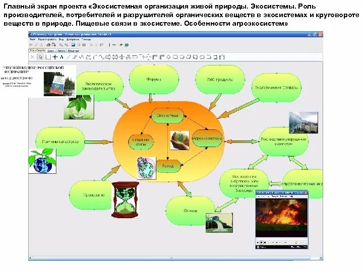 Производители органических веществ в экосистеме. Экосистемная организация живой природы. Потребители органических веществ в экосистеме. Роль производителей в экосистеме.