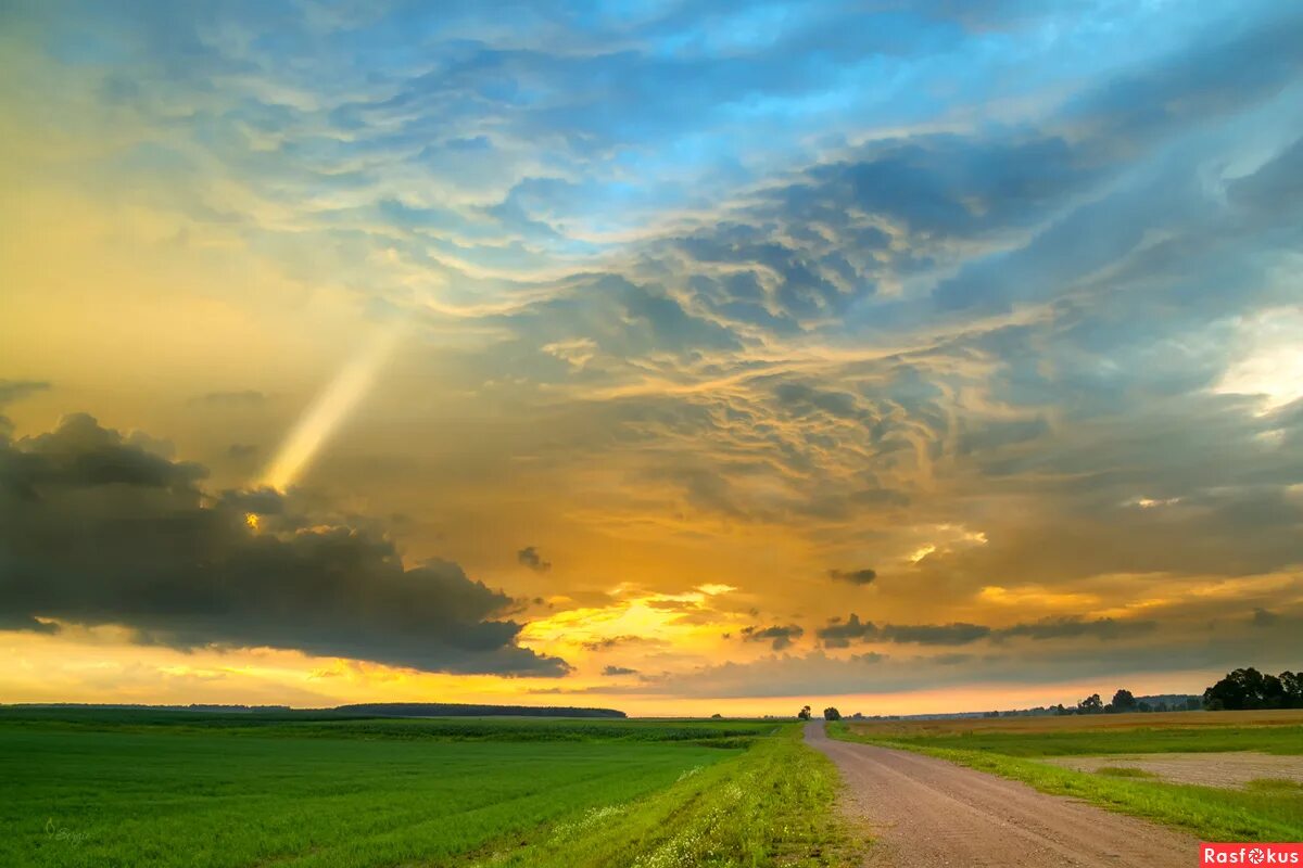 здравствуй солнце золотое здравствуй небо голубое. в небе белоруссии. стихи моя рожина росси. летний пейзаж. стих лошадка введенский.