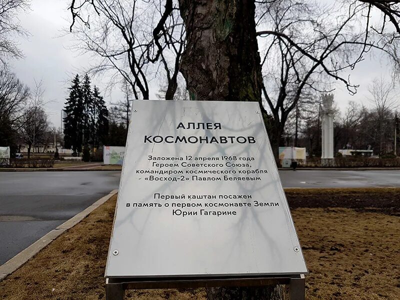 Аллея график работы. Аллея энергетиков в парке сокольники. Табличка названия сквера. Аллея график работы. Аллея доблести и славы елизово.