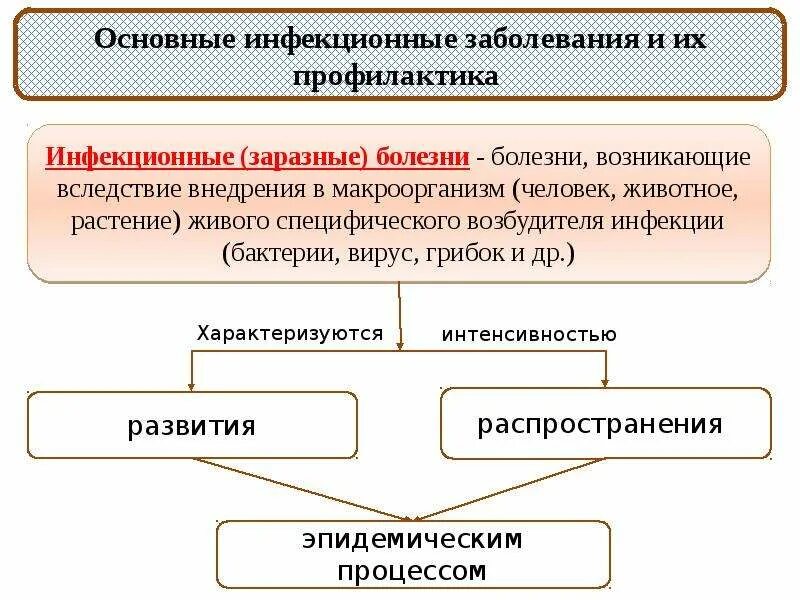 Причины основных инфекций