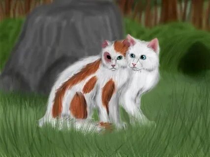 Коты воители яролика