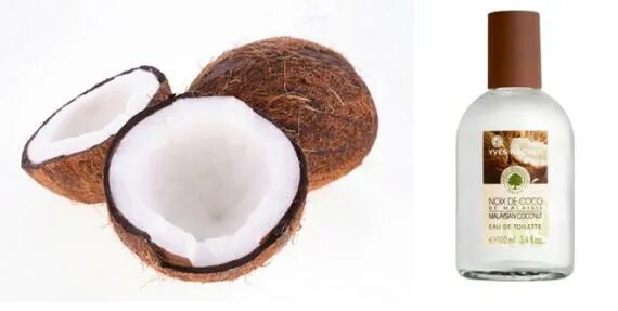 Аромат духов кокос. Ив роше кокос. ив роше духи кокос. ив роше noix de coco духи. yves rocher духи кокос.