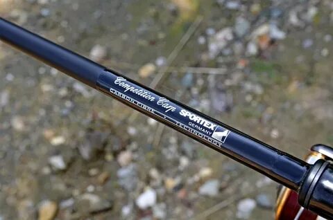 Dayo competition carp