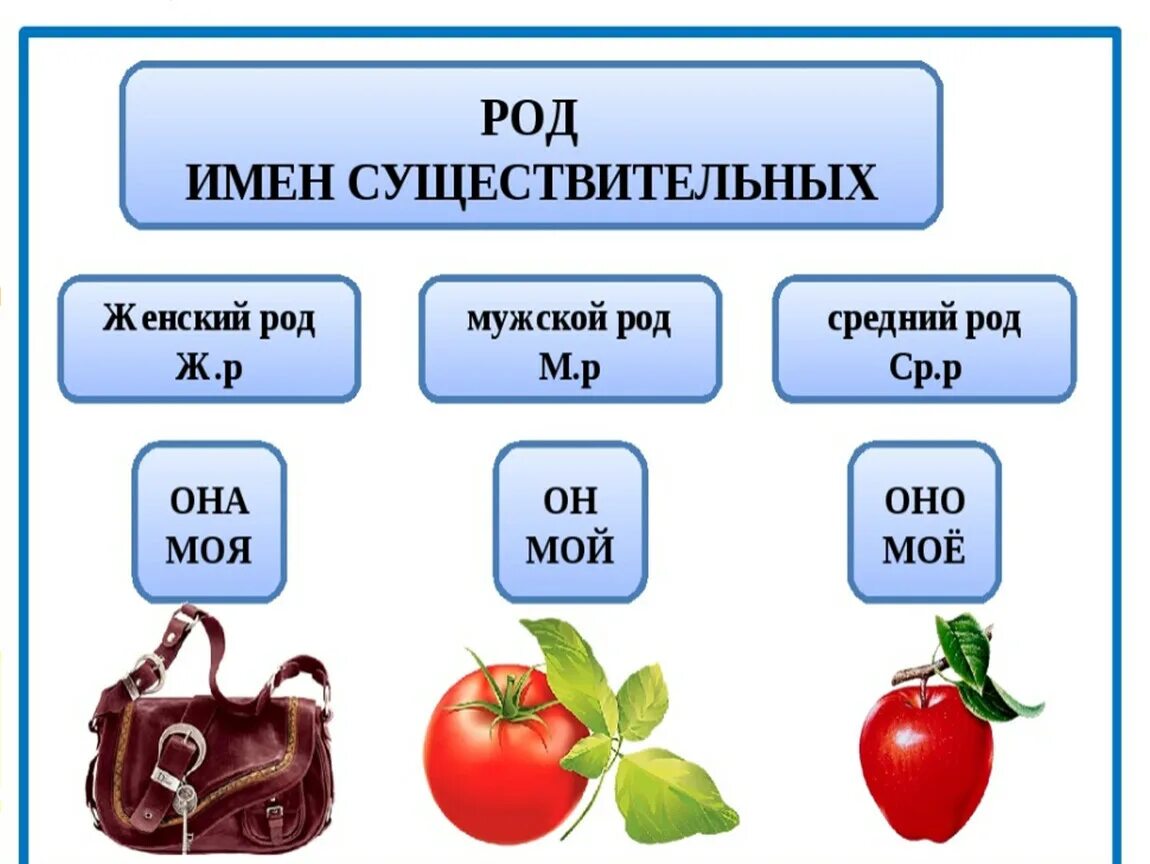 Про род имен существительных. Имени существительного мужского рода, женского рода, среднего рода.. Как определить род у существительных. Имя существительное 3 класс женского рода мужского рода среднего рода. Таблица родов имен существительных.