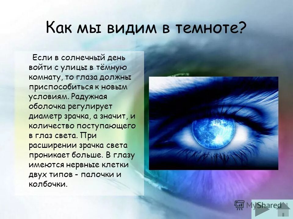 Темнота сочинение. Глаза видят в темноте. Как мы видим глазами. Как видеть в темноте. Как человек видит в темноте.