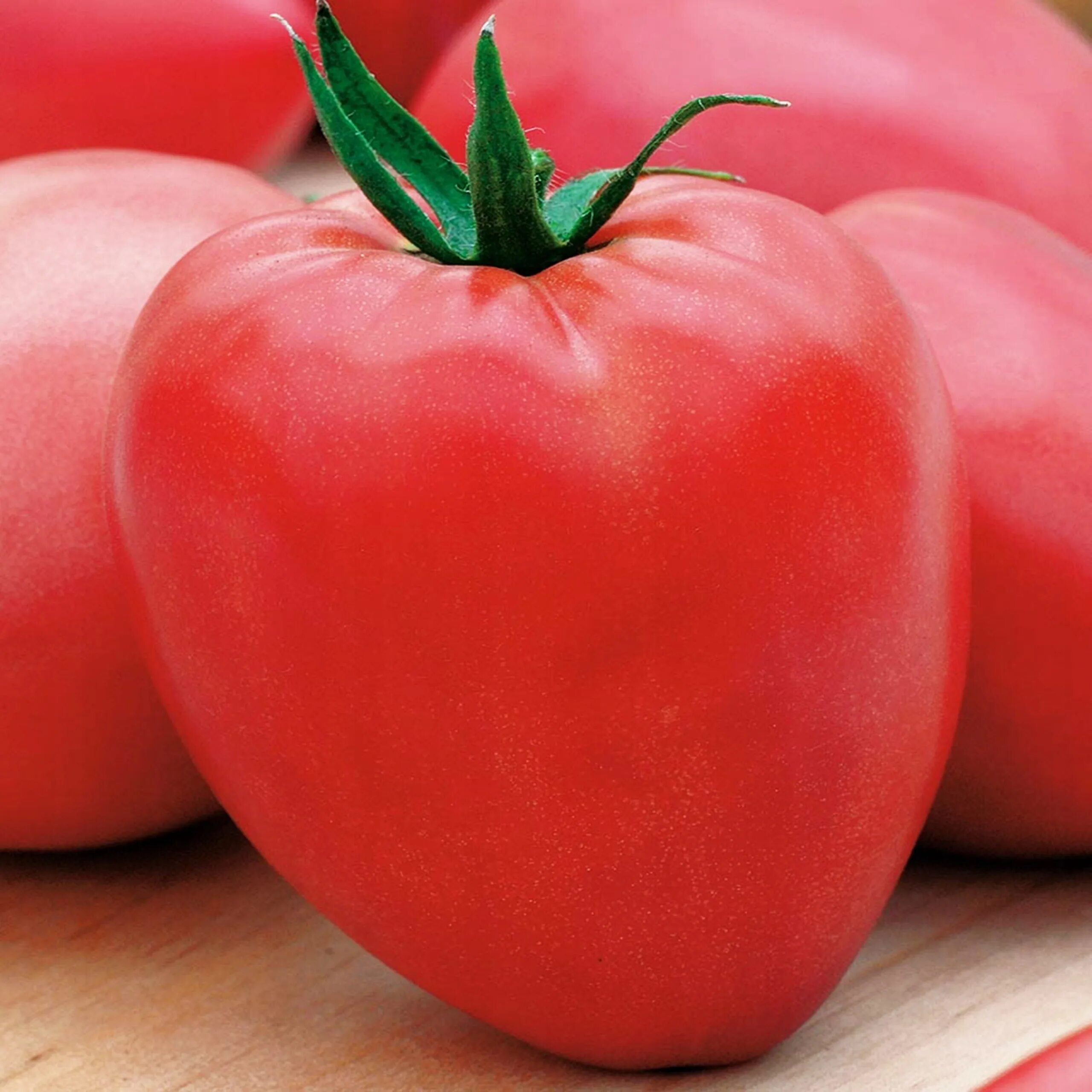 Семена низкорослых помидоров купить. Томат Буффало сердце гигант. Семена помидор Карликовые. Французские семена томатов.