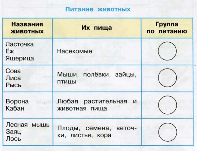 Таблица групп животных 3 класс. Питание животных таблица. Таблица питание животных по классам. Группы животных по питанию. Таблица по окружающему миру 3 класс группы животных.