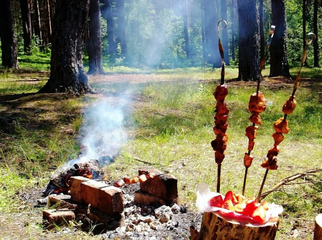 Жулебинский лесопарк шашлыки. Шашлыки на природе. Пикник шашлык на природе. Мангал на природе. Пикник костер