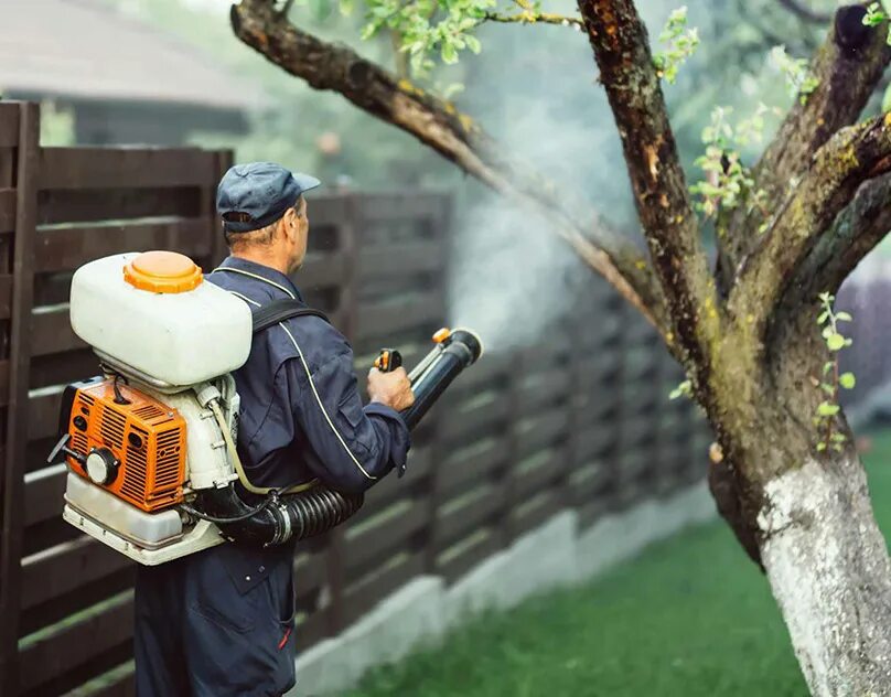 Exterminator. Exterminator