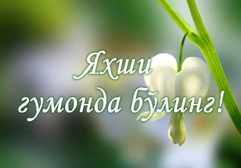 Пайгамбаримиз фарзандлари. Kayfiyatim yaxshi muhammad. Yaxshi gumon. Kayfiyatim yaxshi muhammad. Яхши одамлар.