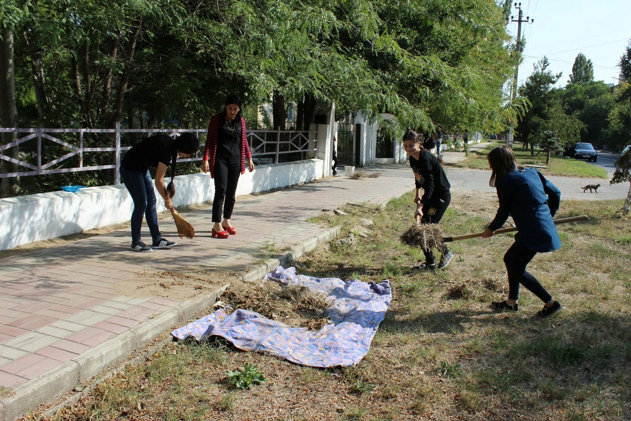 Погода избербаш по часам. Парк аллея в городе избербаш. субботник в валуйках. парк дружба в городе избербаш. субботник избербаш.