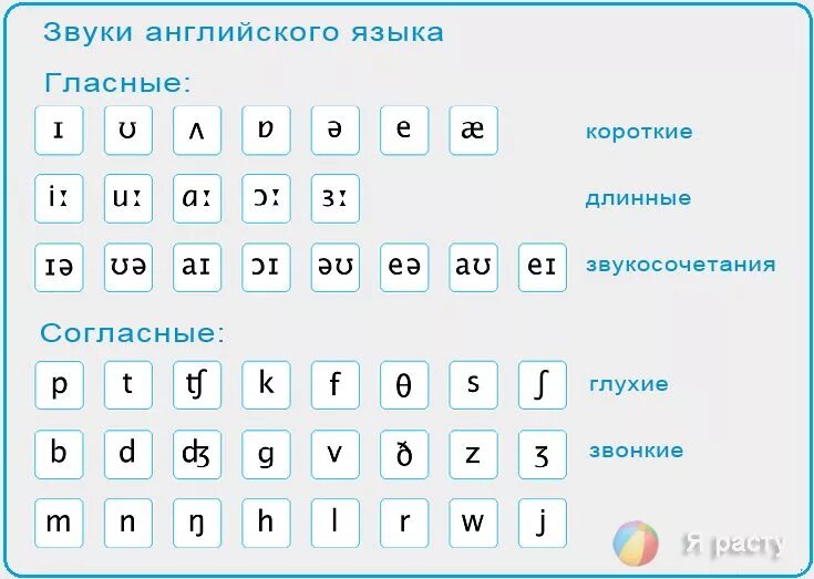 Звонкие согласные и гласные в английском языке. Звонкие и глухие гласные и согласные в английском языке. Согласные звуки в английском. Гласные звуки в английском. Глухой на английском